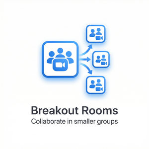 【Zoom官网】品牌 - Zoom审计报告